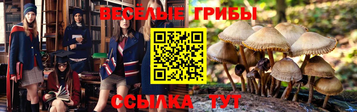 Галлюциногенные грибы Cubensis  Вход с VPN  Луга 